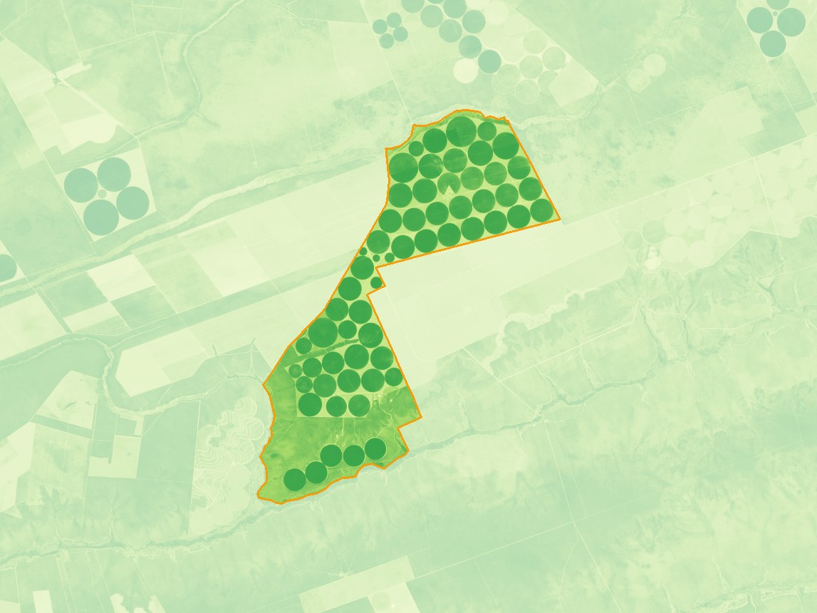 NDVI real do imóvel
